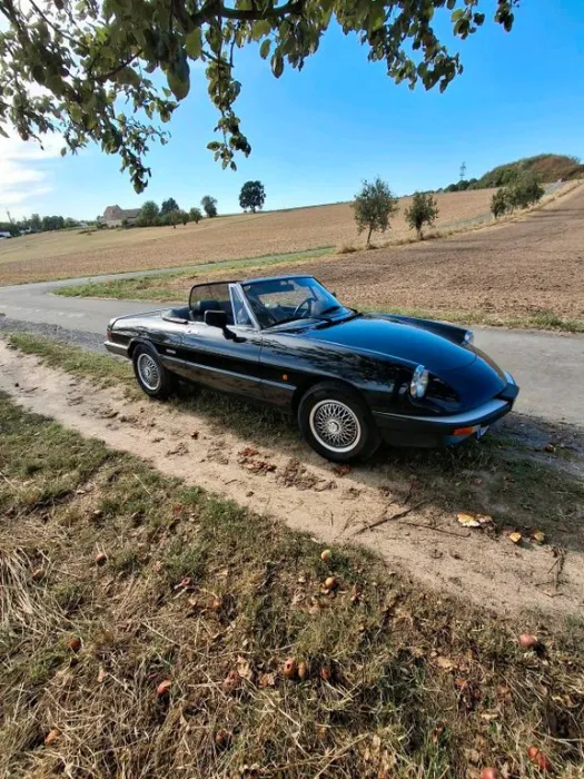 Alfa Romeo Alfa Spider
