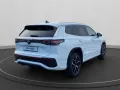 Volkswagen Tayron 2.0 TDI 4Motion R-Line +DSG+AHK+MATRIX+LM