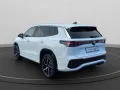 Volkswagen Tayron 2.0 TDI 4Motion R-Line +DSG+AHK+MATRIX+LM