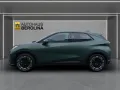 Cupra Raval VZ Edition Extreme *PANO*MATRIX*19