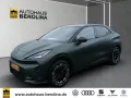 Cupra Raval VZ Edition Extreme *PANO*MATRIX*19