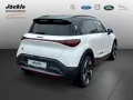 Smart #1 Brabus Edition, LED, ACC, Panoramadach