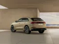 Audi Q8 S line HuD-Stand-Hzg-AHK-RFK-PANO-Matrix-L...
