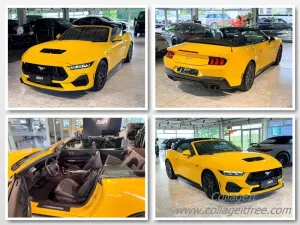 Ford Mustang Cabrio GT 5.0l *MAGNE-RIDE*D-FZG*ACC*B&O