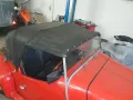 Triumph Moss