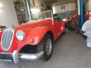 Triumph Moss