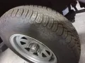 Triumph Moss