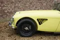 Austin Healey 3000 MK1 