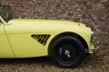 Austin Healey 3000 MK1 