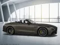 Mercedes-Benz SL 43 AMG Premium Plus/Distronic/Kamera/Digital