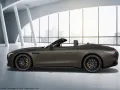 Mercedes-Benz SL 43 AMG Premium Plus/Distronic/Kamera/Digital