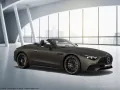 Mercedes-Benz SL 43 AMG Premium Plus/Distronic/Kamera/Digital