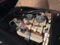 Cobra Contemporary Cobra 427