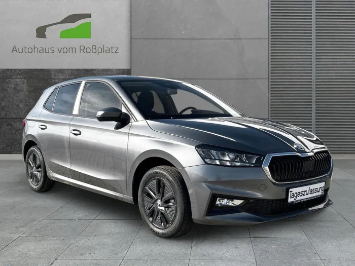 Skoda Fabia Selection