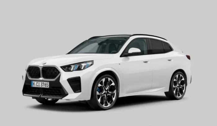 BMW X2 20d xDrive M SPORT PANO ACC AHK H&K HUD 21