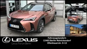 Lexus UX 300h F-SPORT DESIGN   * All-Wetter-Reifen *