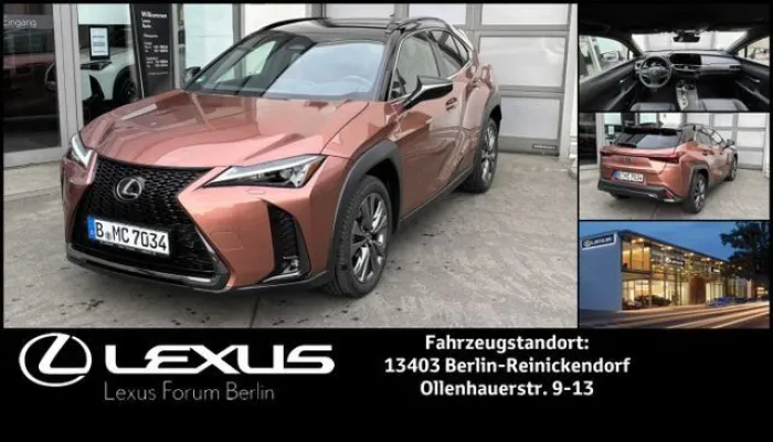 Lexus UX 300h F-SPORT DESIGN   * All-Wetter-Reifen *