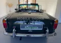 Triumph TR4