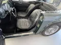 Triumph TR4