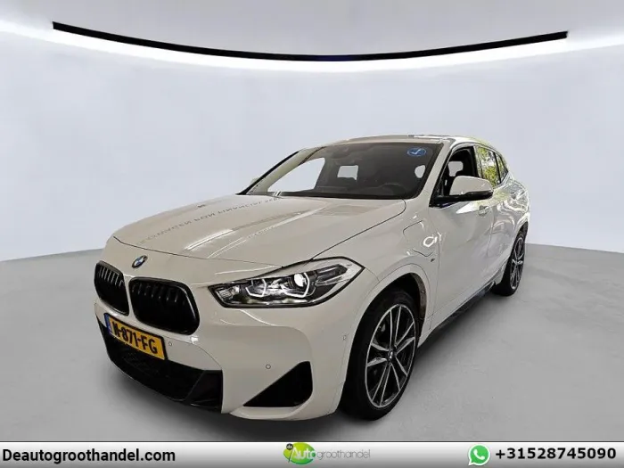 BMW X2 xDrive25e High Executive M-Sport Pano