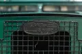 Land Rover 1977 LAND ROVER 88 SERIE II A ROV00060