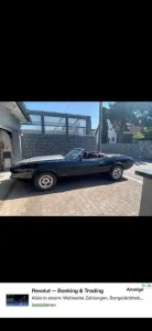 Ford Gelegenheit Ford Mustang Mach 1  Cabrio 5,7