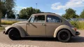 Volkswagen Käfer