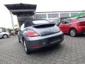 Volkswagen Beetle Basis