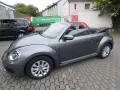 Volkswagen Beetle Basis