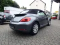 Volkswagen Beetle Basis