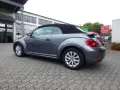 Volkswagen Beetle Basis