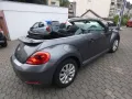 Volkswagen Beetle Basis