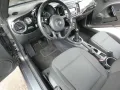 Volkswagen Beetle Basis