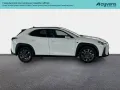Other Lexus UX Hybrid Design