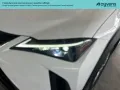 Other Lexus UX Hybrid Design