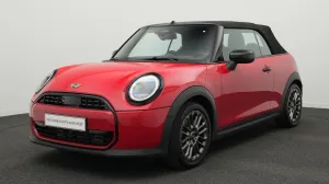 MINI Classic Trim
