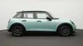 MINI Classic Trim