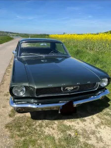 Ford Mustang V8 1966 