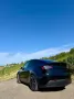Tesla Model Y Performance Black Logo Edition