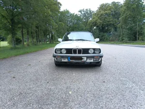 BMW 323