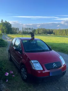 Citroën C2     Benzin - 60 PS - 112.847 km...