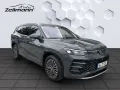 Volkswagen Tayron R-Line 2.0 TDI 4MOTION DSG AhK StHz W+S R