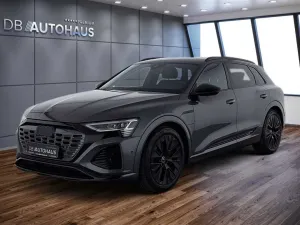 Audi Q8 e-tron 50 S line quattro 95 kWh edition S lin
