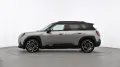 MINI Favoured Trim