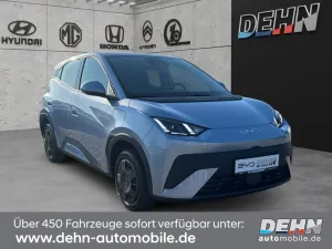 BYD Dolphin Surf Active Navi Soundsystem Xenon Apple
