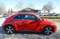 Volkswagen Beetle Lim. Sport*Fender Edition*LED*Leder*Navi*