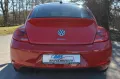 Volkswagen Beetle Lim. Sport*Fender Edition*LED*Leder*Navi*