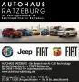 Fiat 500e - schwarz, klein, stark