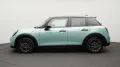 MINI Favoured Trim