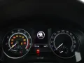 Skoda Rapid 1.0 TSI Monte Carlo*XENON*TEMPO*PDC*SHZ